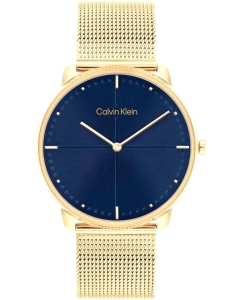 Купить Наручные часы Calvin Klein 25200153  в E-mobi