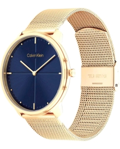 Купить Наручные часы Calvin Klein 25200153  в E-mobi