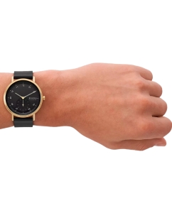 Купить Наручные часы Skagen SKW6896  в E-mobi
