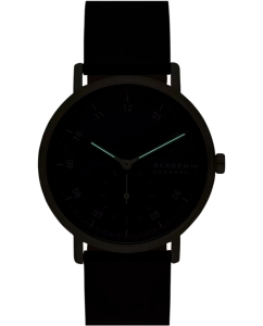 Купить Наручные часы Skagen SKW6896  в E-mobi