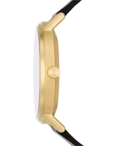 Купить Наручные часы Skagen SKW6896  в E-mobi