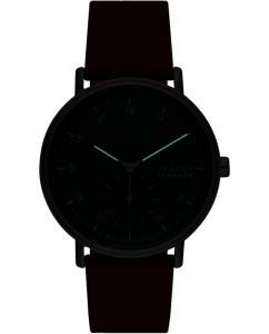 Купить Наручные часы Skagen SKW6905  в E-mobi