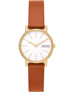Купить Наручные часы Skagen SKW3121  в E-mobi