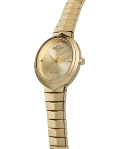 Купить Наручные часы Vivienne Westwood VV314GDGD  в E-mobi