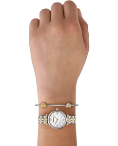 Купить Наручные часы Emporio Armani AR80078SET  в E-mobi