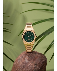 Купить Наручные часы Vivienne Westwood VV244GRGD  в E-mobi