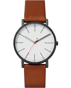 Купить Наручные часы Skagen SKW6374  в E-mobi
