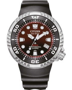 Купить Японские наручные часы Citizen BN1024-01Z  в E-mobi