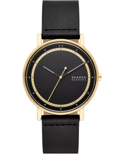 Купить Наручные часы Skagen SKW6897  в E-mobi