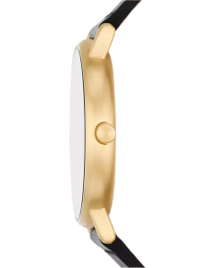 Купить Наручные часы Skagen SKW6897  в E-mobi