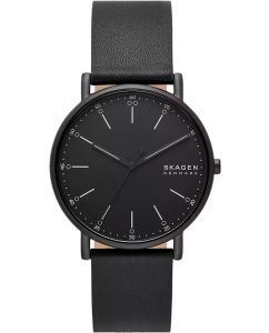 Купить Наручные часы Skagen SKW6902  в E-mobi