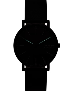 Купить Наручные часы Skagen SKW6902  в E-mobi