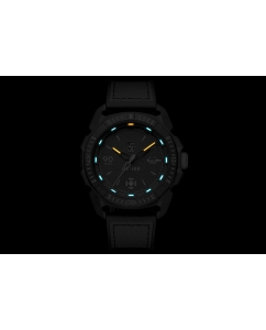 Купить Наручные часы Luminox XL.1003 ICE-SAR ARCTIC 1000 SERIES  в E-mobi