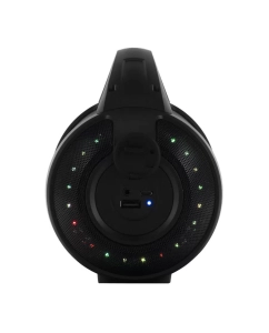 Купить Портативная колонка Digma S-17 Black  в E-mobi