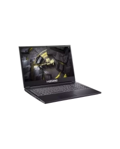Купить Ноутбук Hasee D62654FH Black  в E-mobi