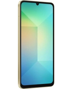 Купить Смартфон Samsung Galaxy A06 6/128Gb LTE DS  в E-mobi