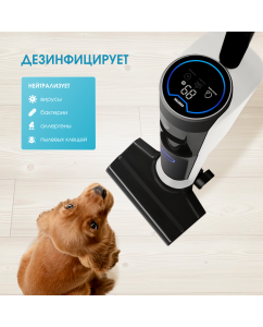 Купить Пылесос Centek CT-2580 белый; черный  в E-mobi