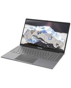 Купить Ноутбук ECHIPS Argentum (NR156G) 15.6&quot;(1920x1080 IPS (матовый))/Intel N-series N95(1.7Ghz)/16384Mb/512SSDGb/noDVD/Int:Intel UHD Graphics  в E-mobi