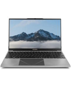 Купить Ноутбук ECHIPS Taganay (NB156D) 15.6&quot;(1920x1080 IPS (матовый))/Intel Celeron N5095(2Ghz)/8192Mb/256SSDGb/noDVD/Int:Intel UHD Graphics  в E-mobi