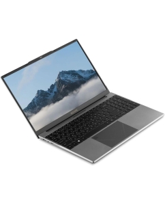 Купить Ноутбук ECHIPS Taganay (NB156D) 15.6&quot;(1920x1080 IPS (матовый))/Intel Celeron N5095(2Ghz)/8192Mb/256SSDGb/noDVD/Int:Intel UHD Graphics  в E-mobi