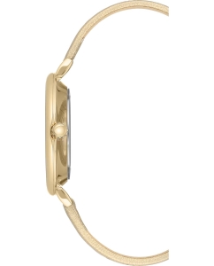 Купить Наручные часы Anne Klein 3378SVGD  в E-mobi