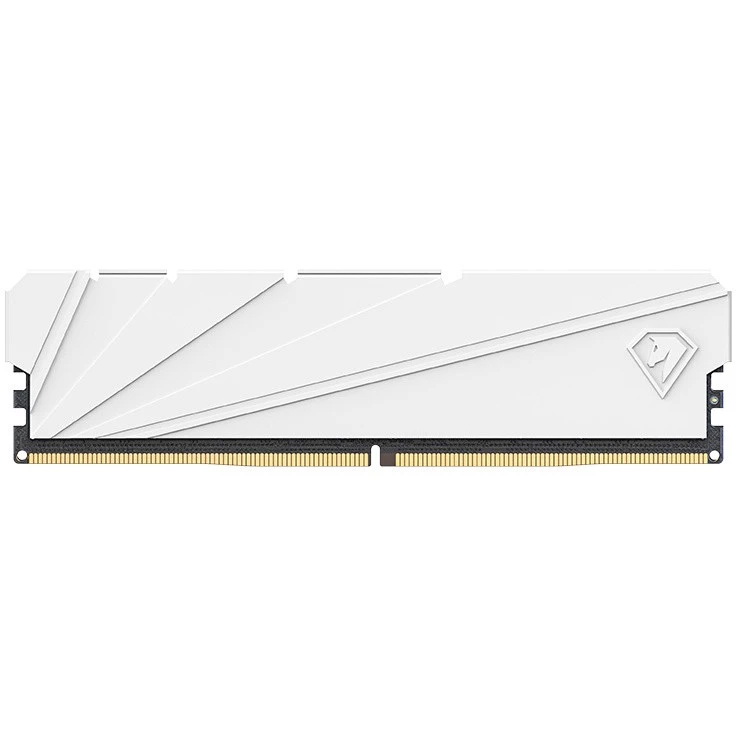 Купить Оперативная память Netac (NTSSD4P32SP-16W), DDR4 1x16Gb, 3200MHz  в E-mobi