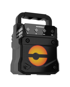 Портативная аудиосистема Soundmax SM-PS5035B, черный | emobi
